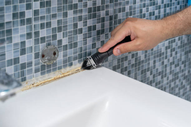 Best Mold Remediation  in Tton, IL