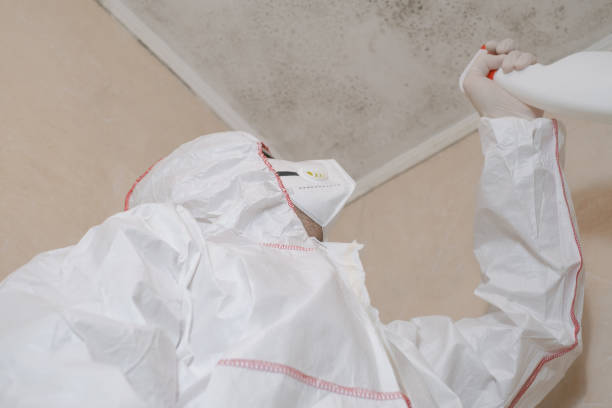 Best Crawl Space Mold Removal  in Tton, IL