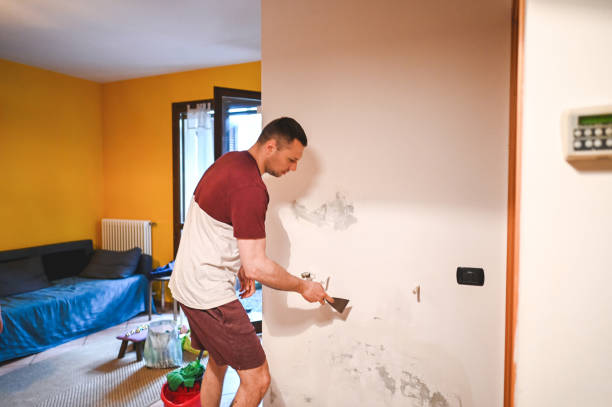 Crawl Space Mold Removal in Tilton, IL